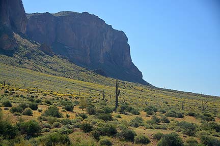 McDowell Mountain Regional Park, February 12, 2015